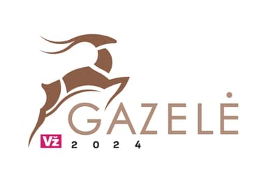 Verslo žinių Gazelė 2024