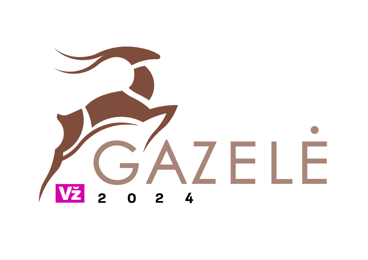 Verslo žinių Gazelė 2024